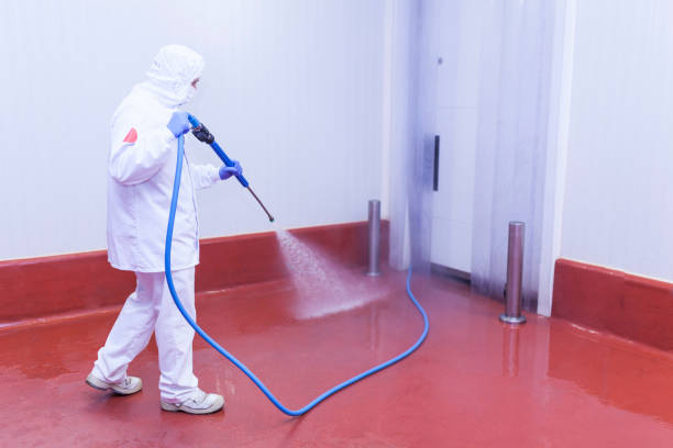 Best Roof Washing  in Terrell Hills, TX